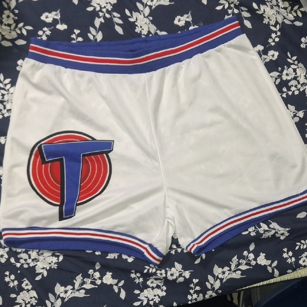 Space Jam White and Blue Men's Shorts
